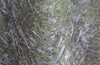 Lochailort fibreglass roof work